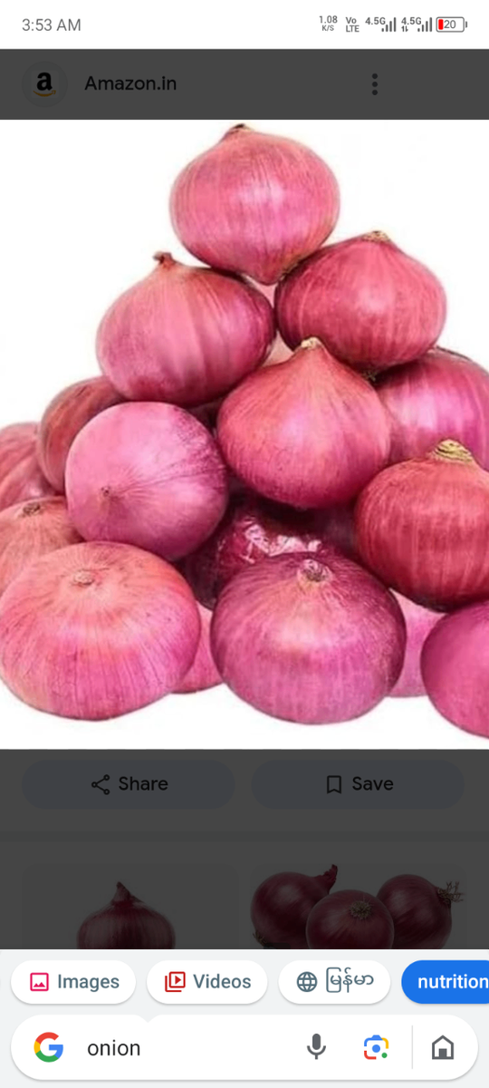 Onion