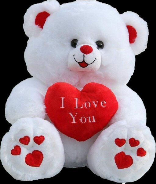 TEDDY BEAR