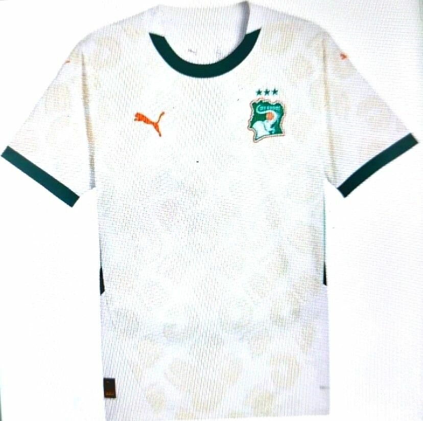Maillot côte d'Ivoire pro