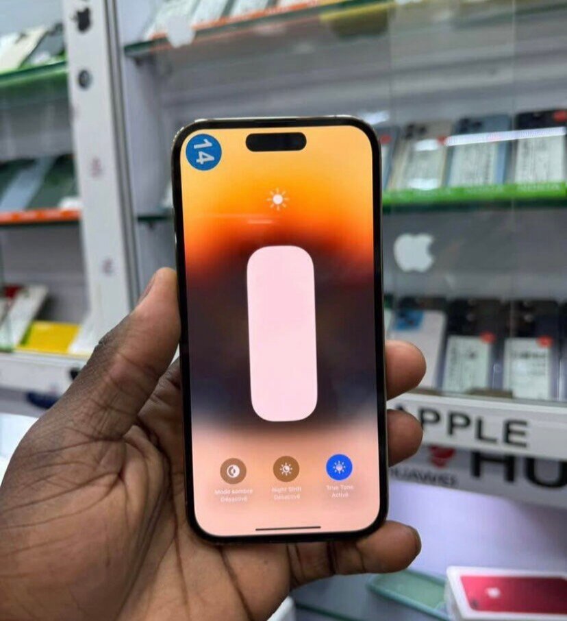 iPhone Pro Max 256 Go