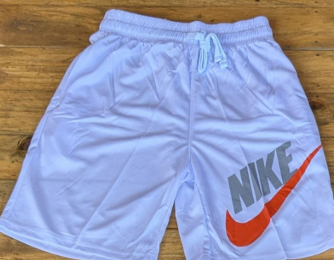 Dri-FIT Shorts