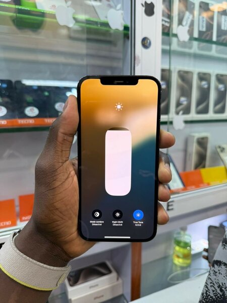 iPhone 12 Pro Max 128go quasi neuf