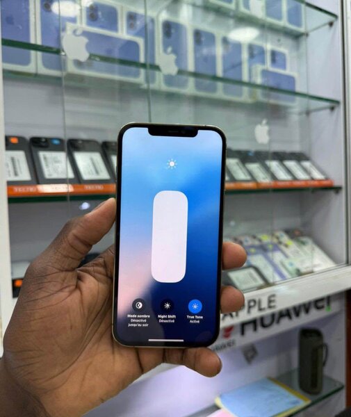 iPhone 12 Pro - 128 Go Argent