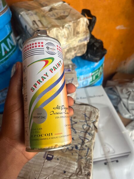 Peinture en Spray Multi-Usages