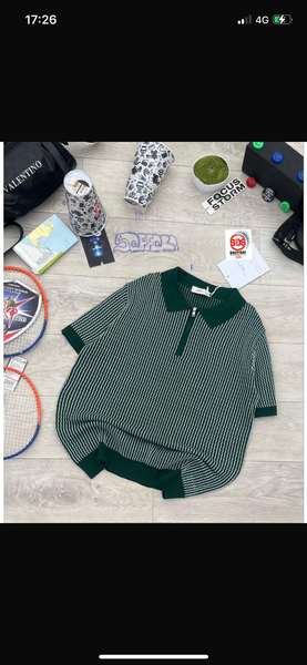 Polo homme