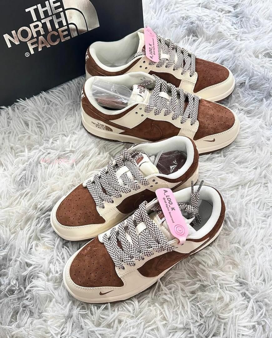 Nike SB Dunks X The Northface