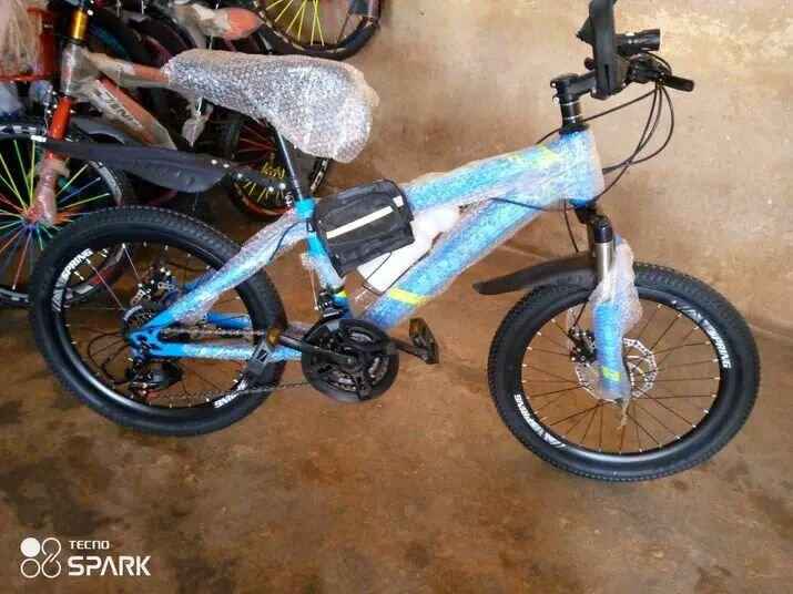 Vélo de Montagne Robuste