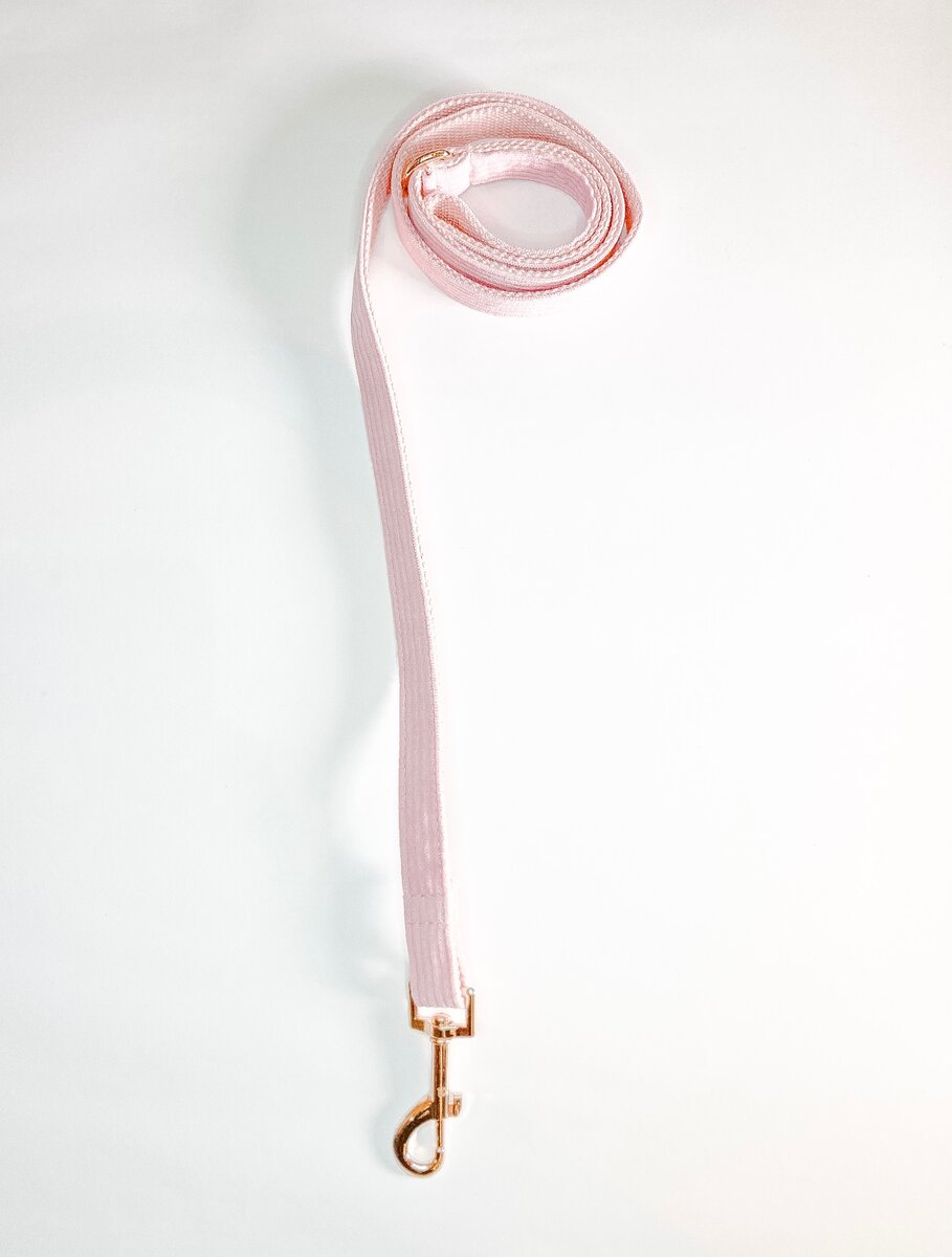 Harness Walk Set for Dogs (Soft Pink)