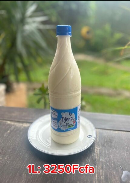 DJENE yaourt