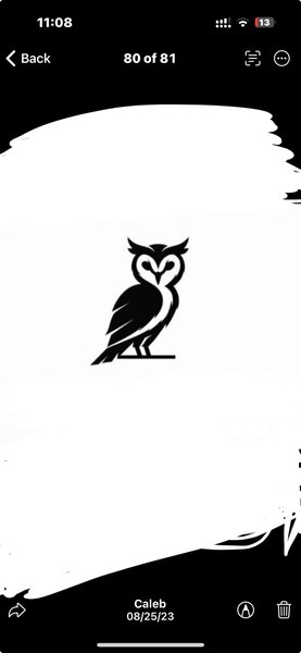 Owl colognes 