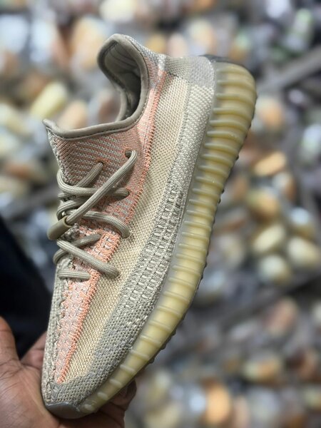 Baskets élégantes pour tous