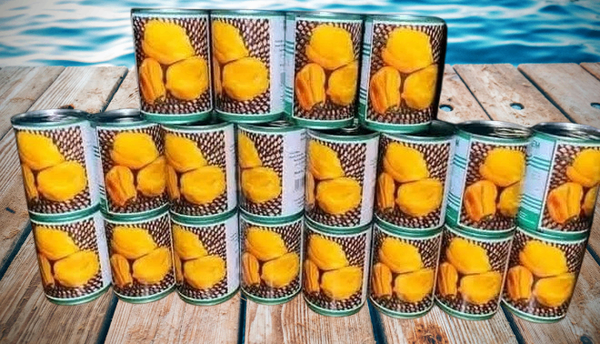 Semence de Piment Big Sun