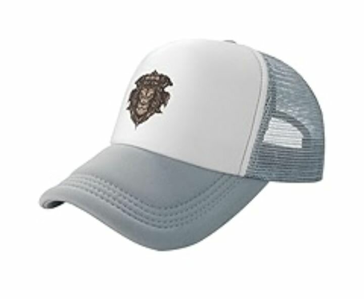 _Baseball Trucker Cap  Ash white
