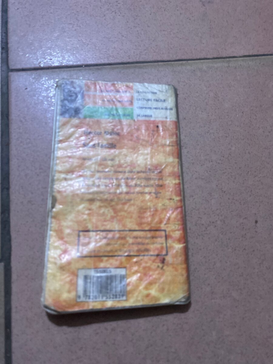 Livre "Sans Famille"