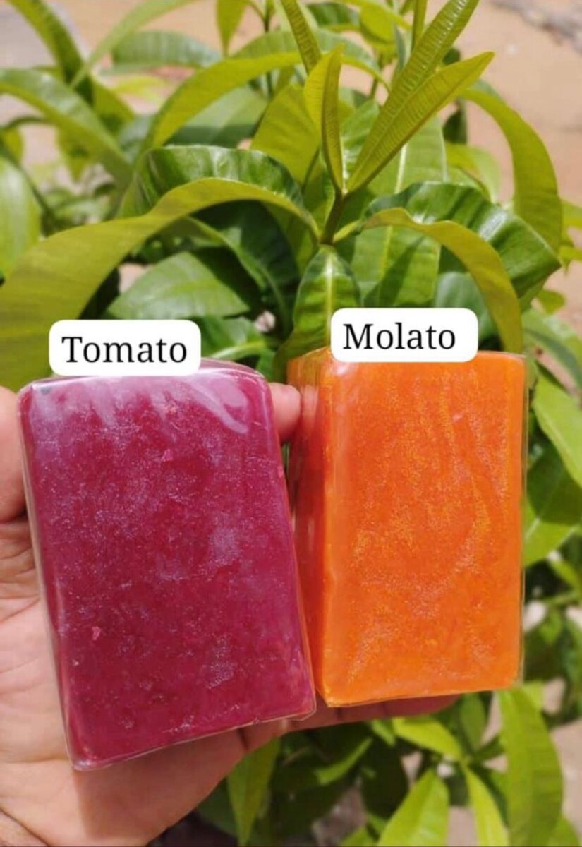 Savon Artisanal Aux Plantes