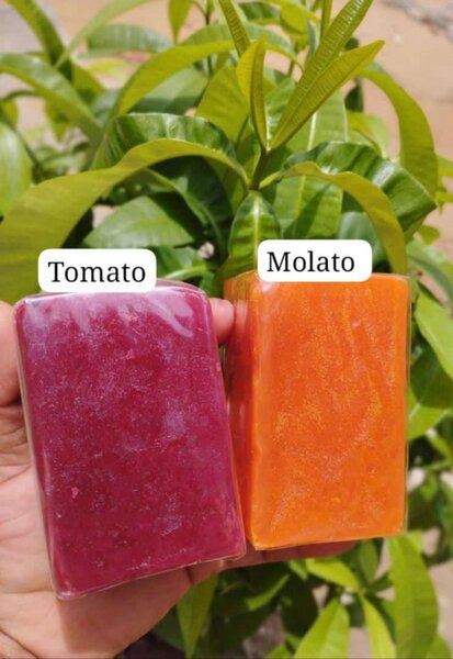 Savon Artisanal Aux Plantes