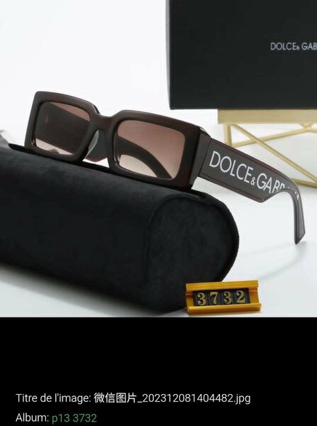 Lunettes de soleil élégantes