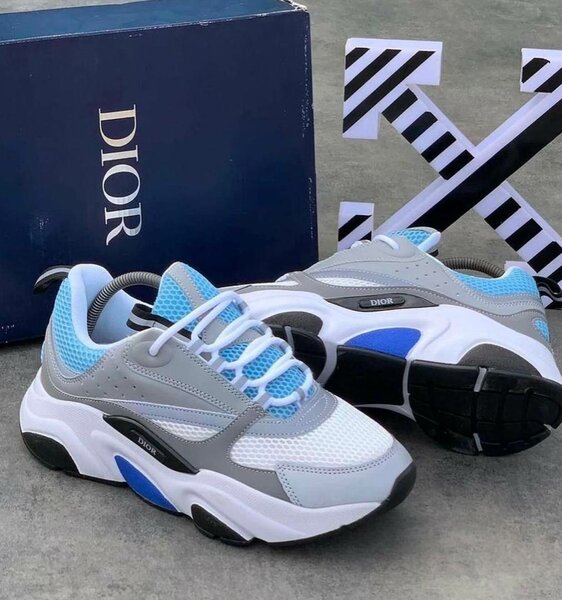 Dior sneakers