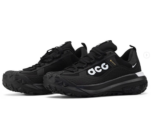 Nike ACG Mountain Fly Gore-Tex