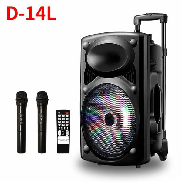 Enceinte Portable Karaoke D-14