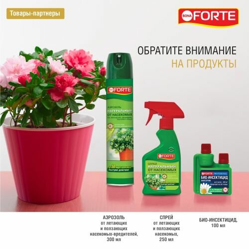 Натуральный спрей от ЛЕТАЮЩИХ И ПОЛЗАЮЩИХ насекомых, 300 мл