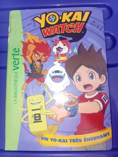Livre Yo-Kai Watch enfant