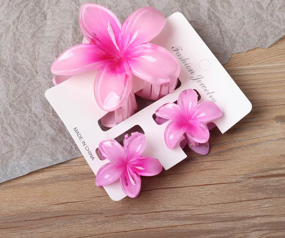 Pinces à cheveux fleurs colorées