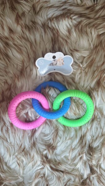 Jouet à Mordiller Chiens Coloré