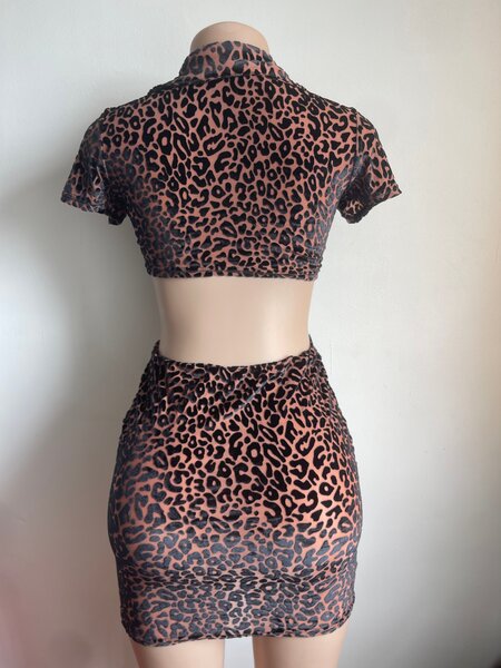 Ensemble Leopardie