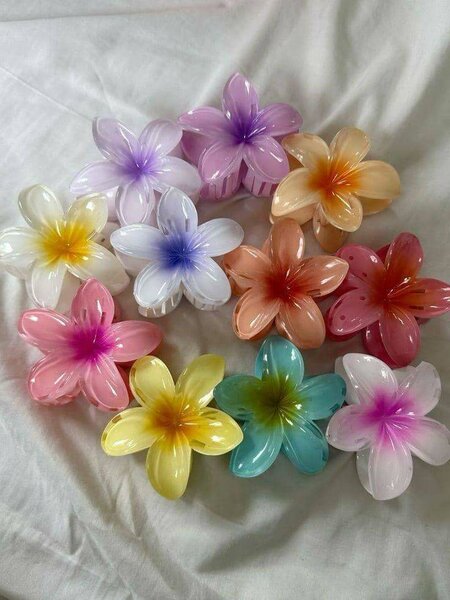 Pinces à cheveux fleurs colorées