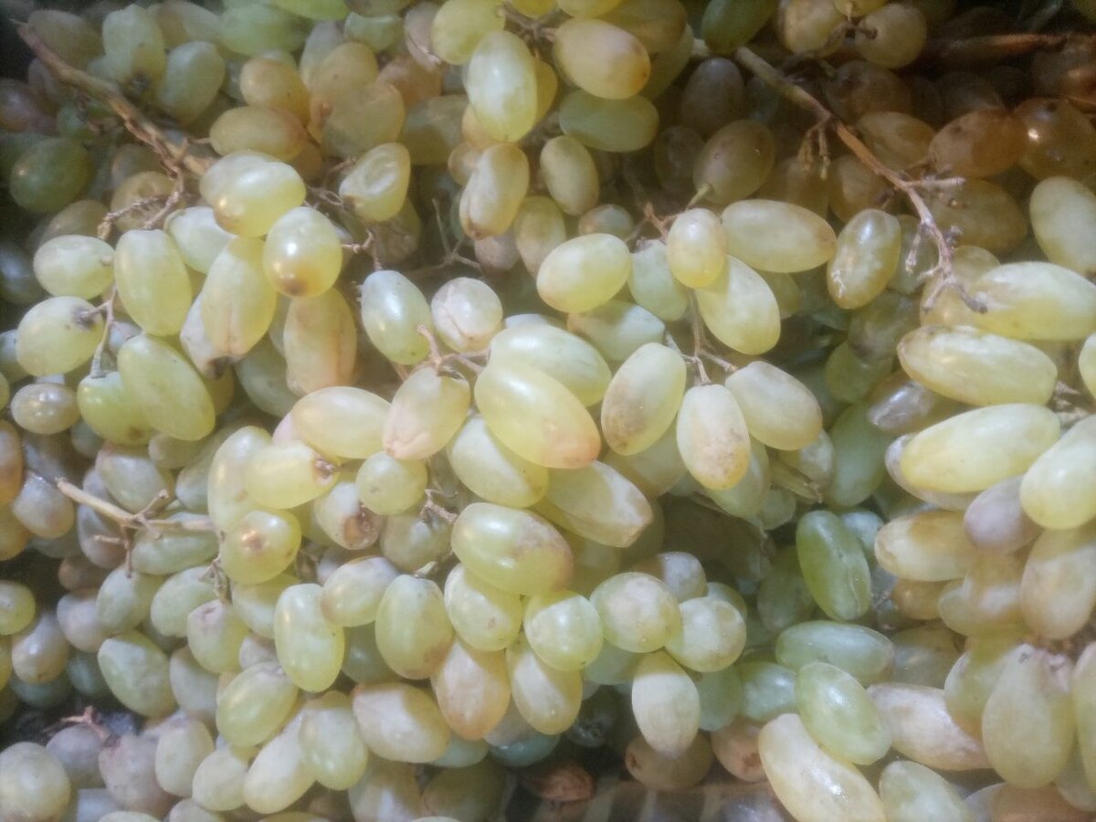 Grapes 1 kg