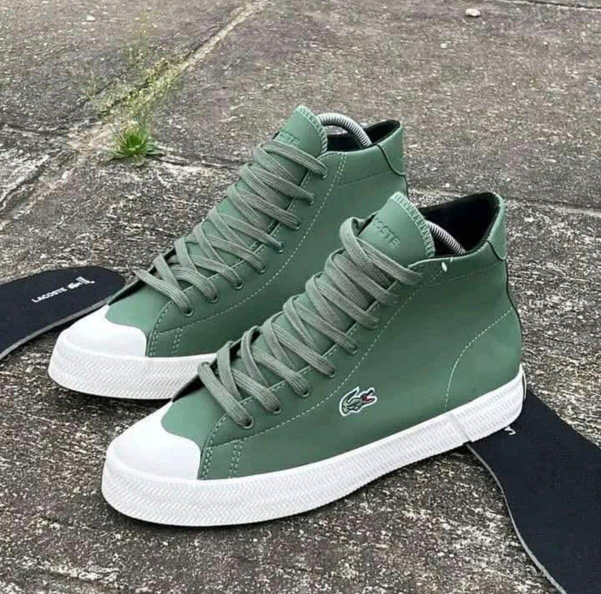 Basket Lacoste venu de France