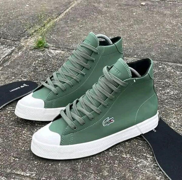 Basket Lacoste venu de France