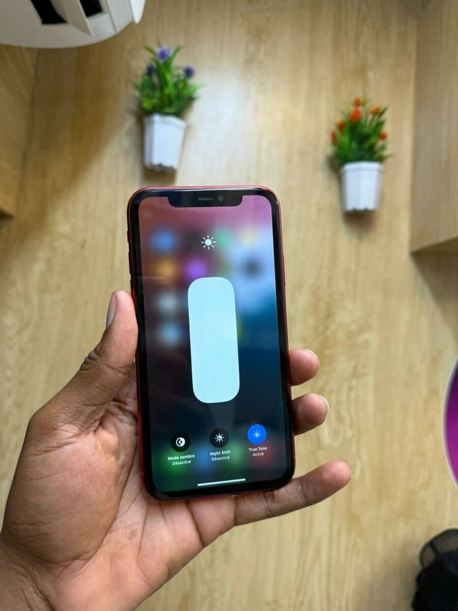 iPhone 11 simple