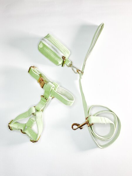 Harness Walk Set for dogs ( Fruit Green)