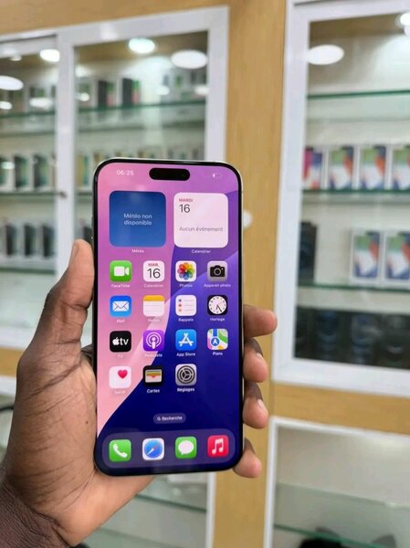 iPhone 14 Pro Max