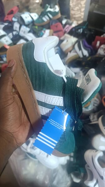 Campus  vert élégant