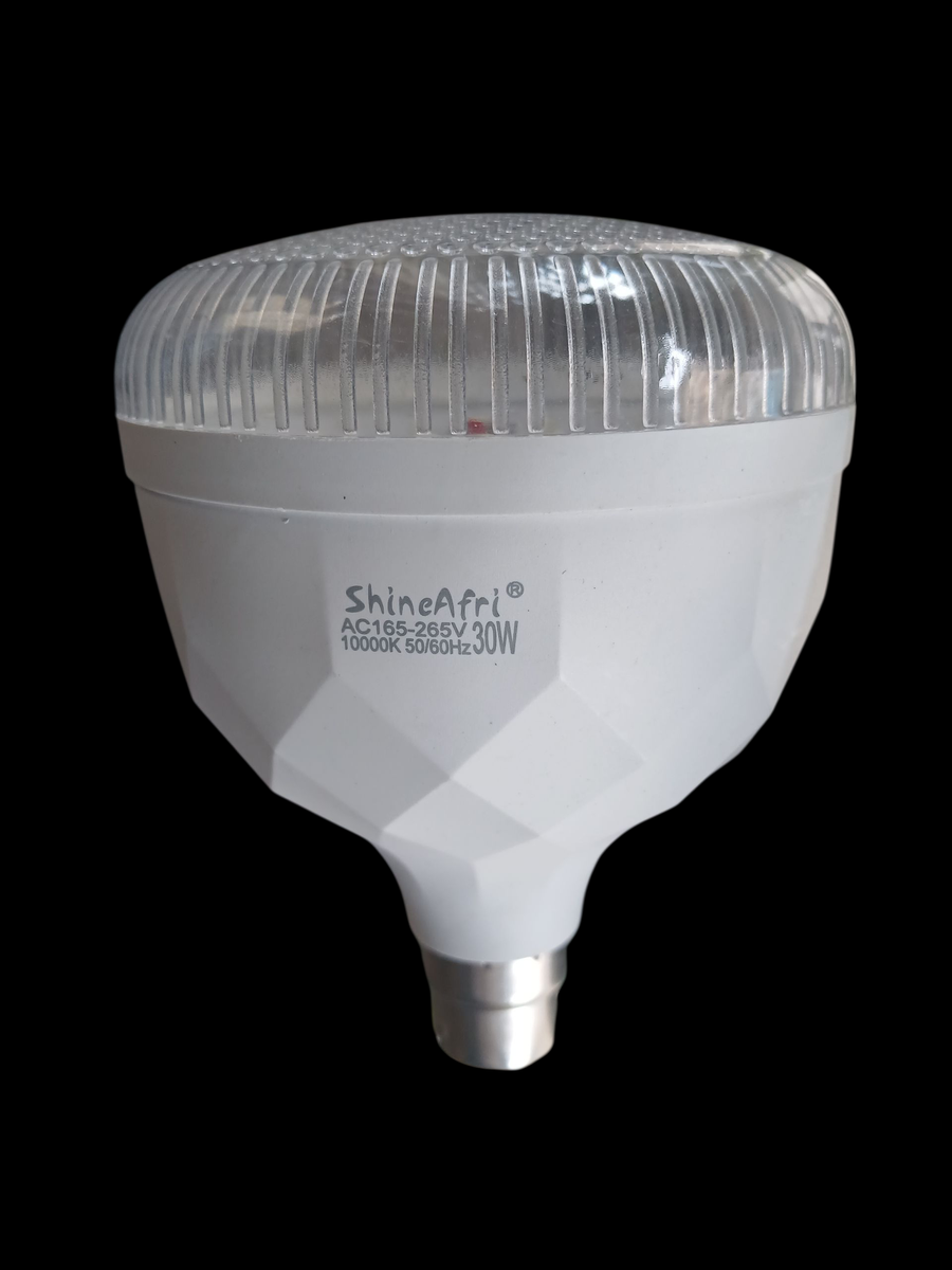 Ampoule LED Économique 30W