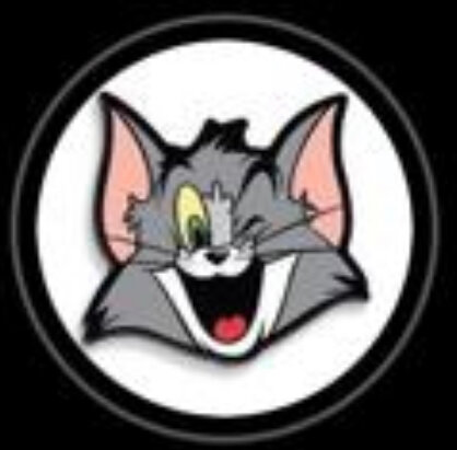   King😎 Shop 🛍️🛒