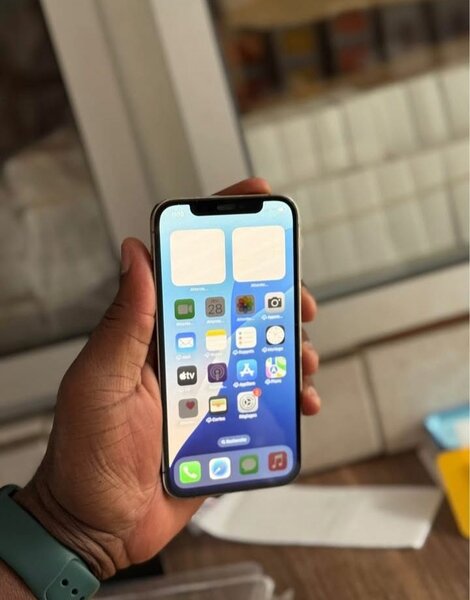 iPhone 12 Pro Max 256 Go