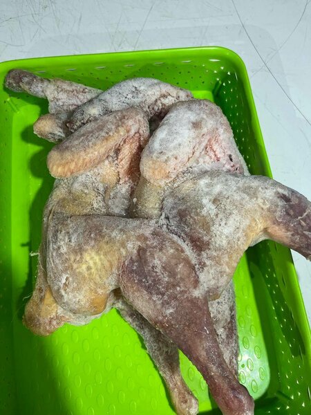 2 pondeuses fraîches