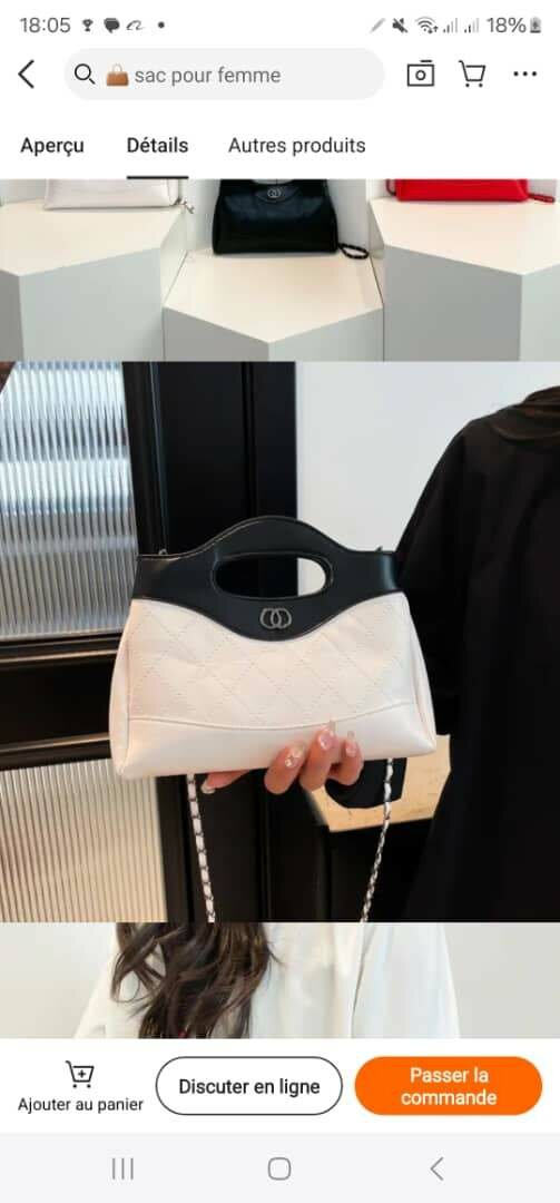 Sac à main élégant pour femme