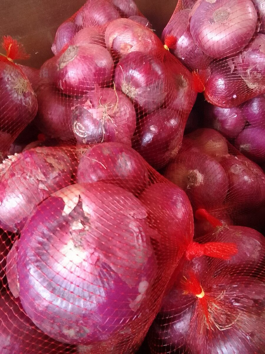 Onions
