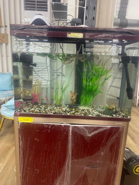 Aquarium avec meuble élégant