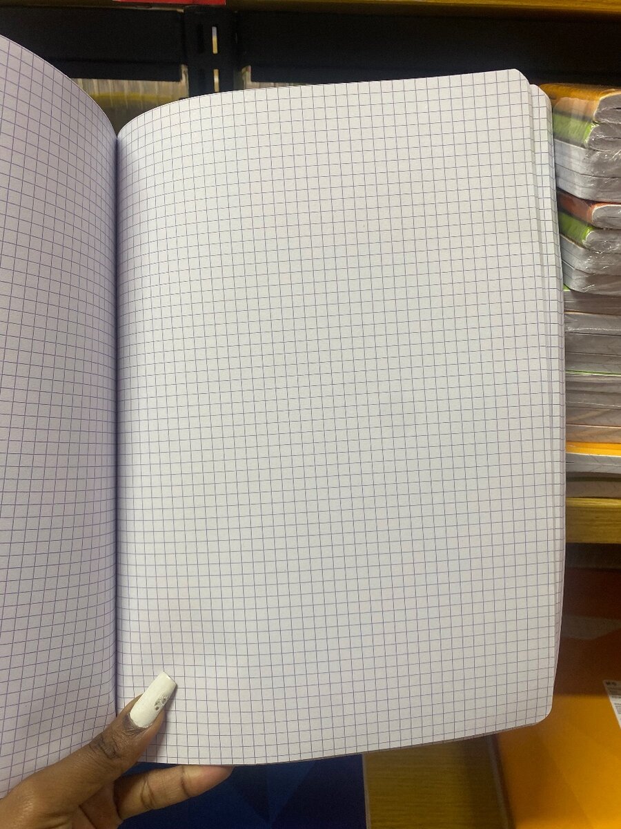 Cahier Petits Carreaux 192 Pages