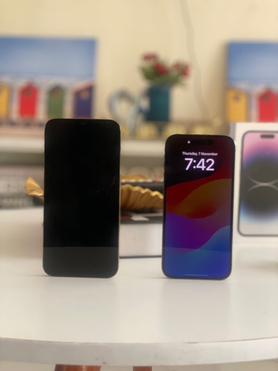 iPhone 12 Pro Max and 14 pro