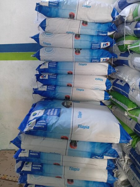 Tilapia 3 mm 20kilo koudijs