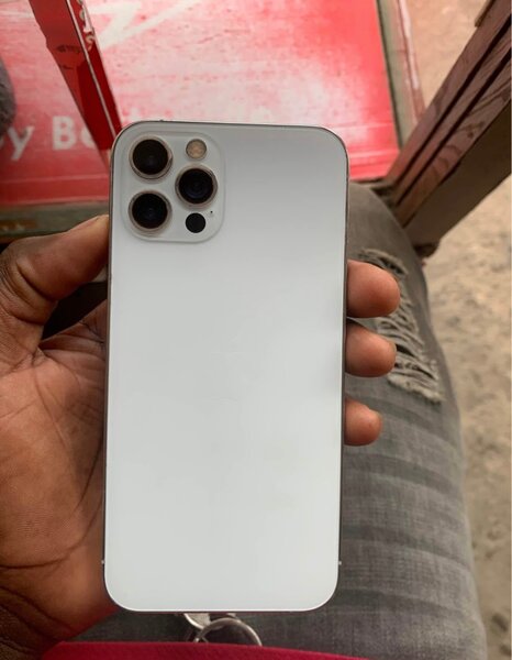 iPhone 12 Pro Max 256 Go Argent