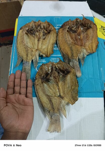 Dry open bream's regular
