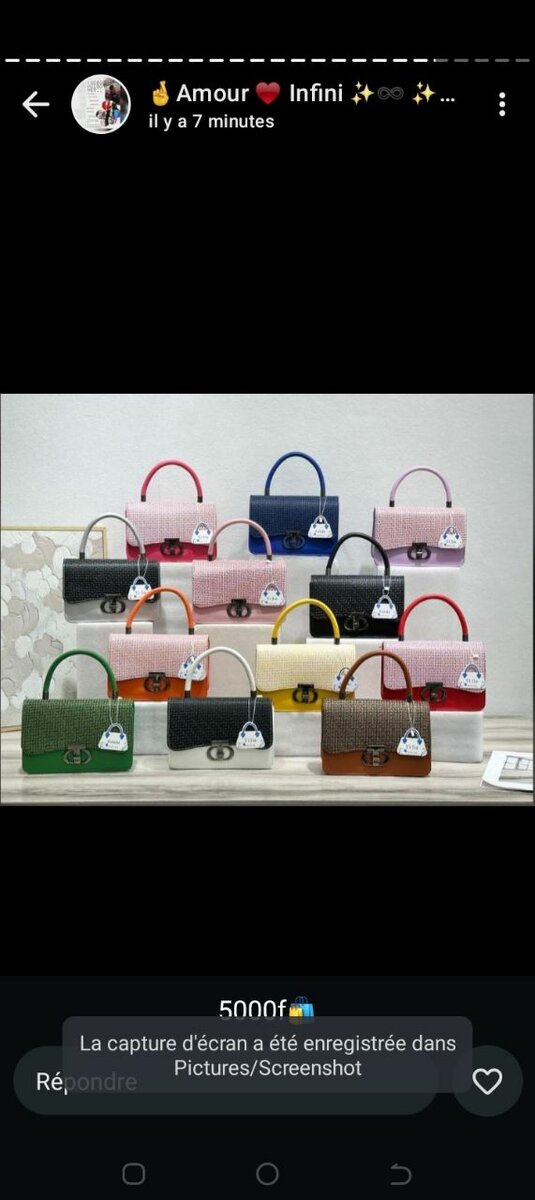 Sacs à main élégants